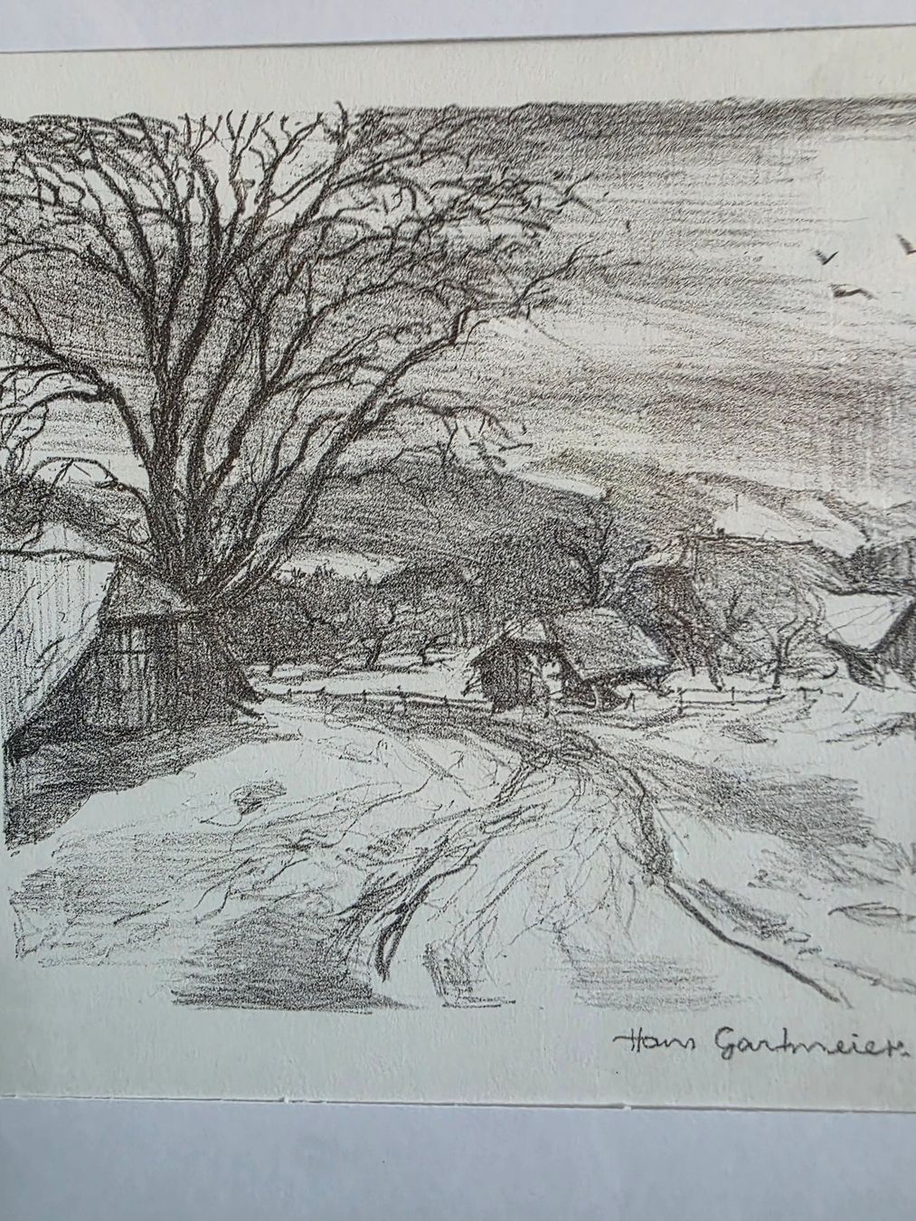Grafica & Litografie: Hans Gartmeier Lithographie – Usato da Zollbrück venduto da hps55