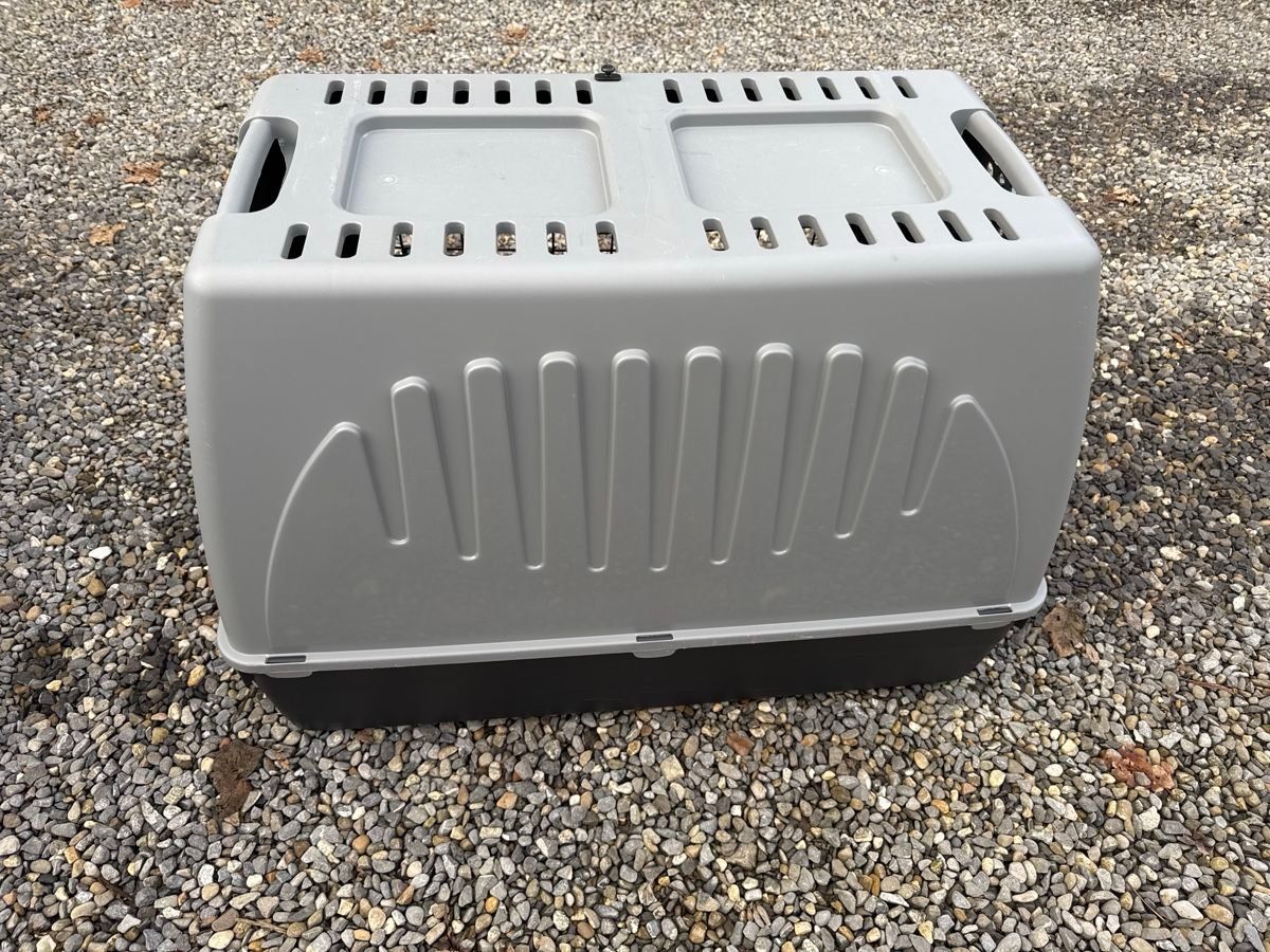 Gabbie, trasporto & Sicurezza: Grosse Hundebox – Usato da Walde AG venduto da 21mimi 1