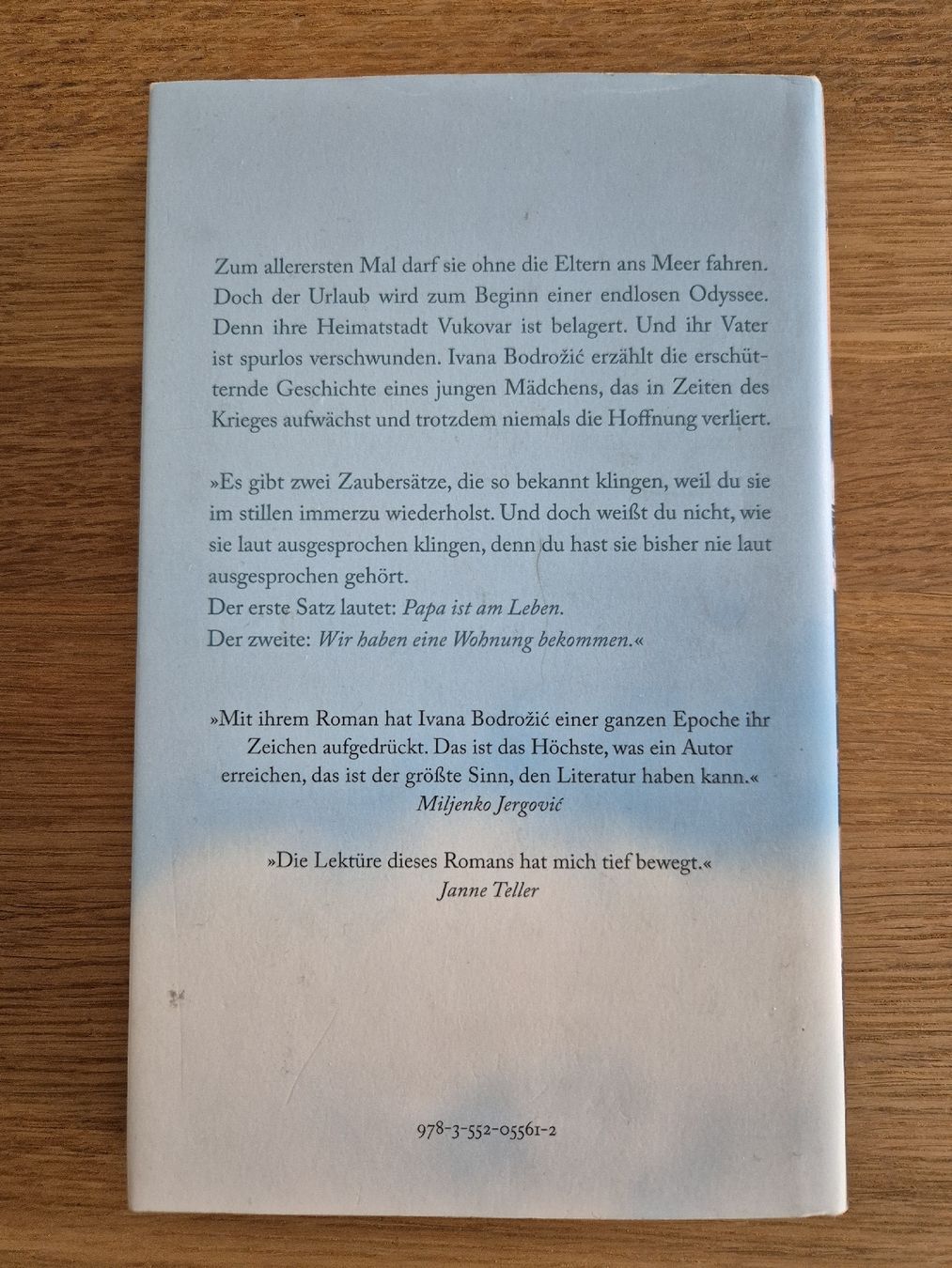 Libri: Ivana Bodrozic: Hotel Nirgendwo, Roman – Usato da Bern venduto da miruslav 1