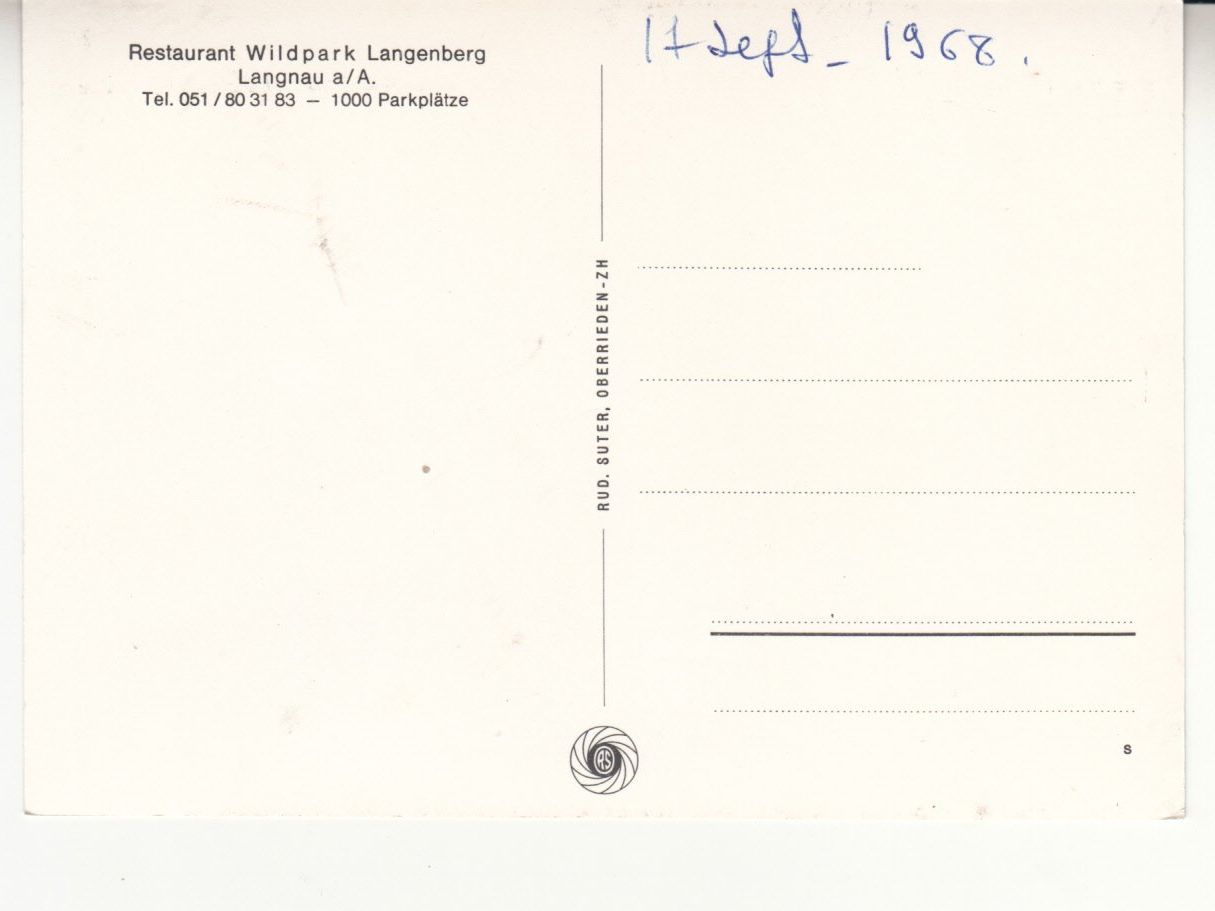 Cartoline postali: Langenberg Wildschweine 1968 – Usato da Bürglen TG venduto da StampGraf 1