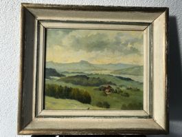 Blick auf Wollerau
