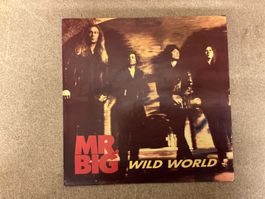 MR BIG Single - Wild World