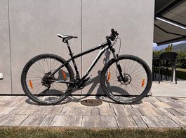 Merida BIG.NINE XT-Edition 29  Shimano XT 2×11  Taglia 17