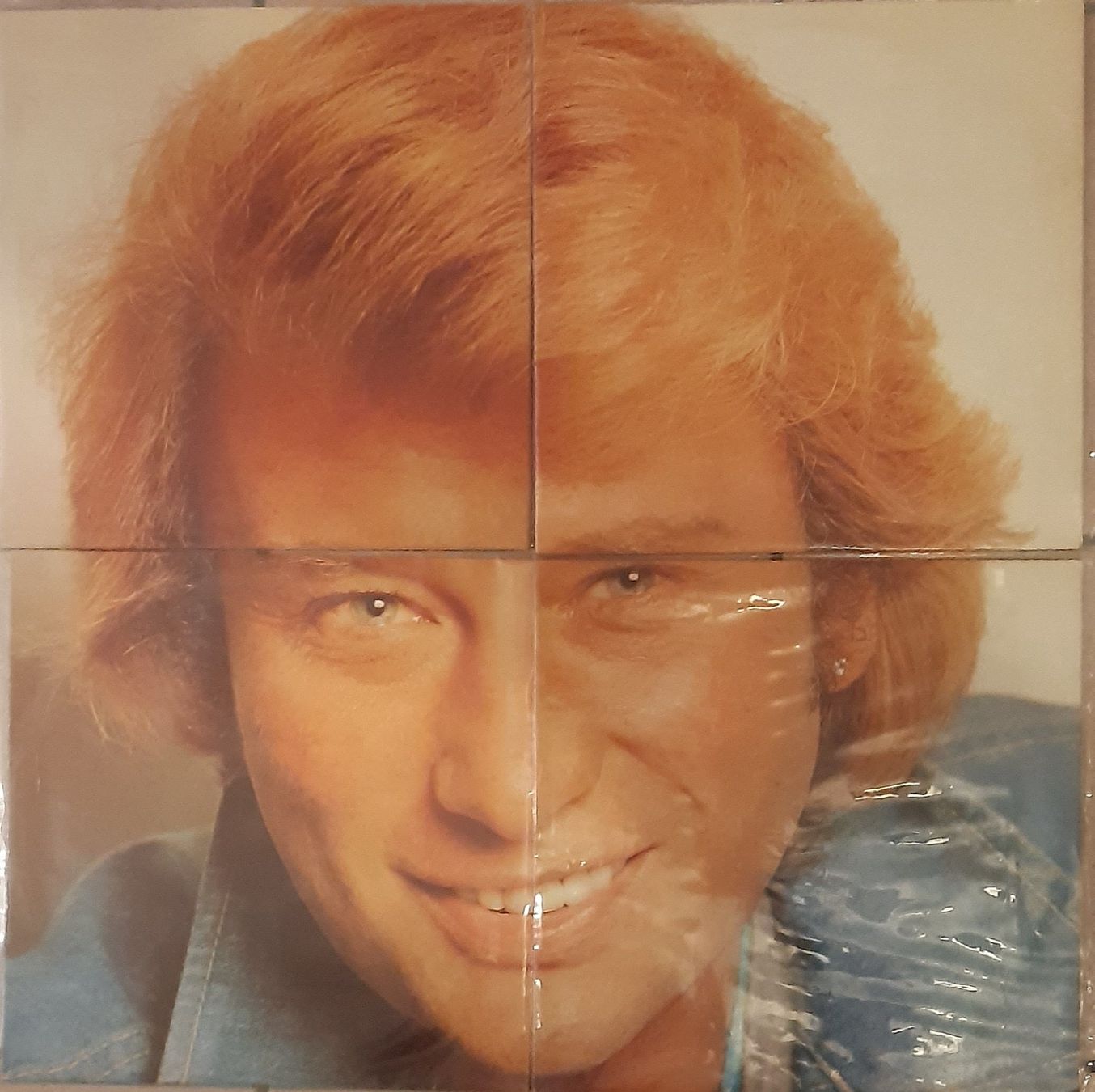 Schallplatten: JOHNNY HALLYDAY - 4 Disques puzzle - ORIGINAL – Gebraucht aus Noréaz von Hallyday