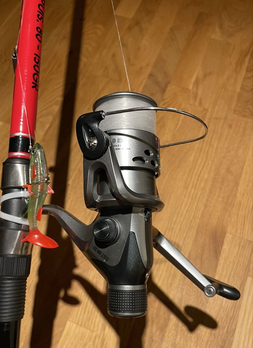 Angelrute 3.5m mit Rolle (Pro-Pike) (Gebraucht) in Bern fr CHF 50  nur  Abholung auf Ricardo kaufen