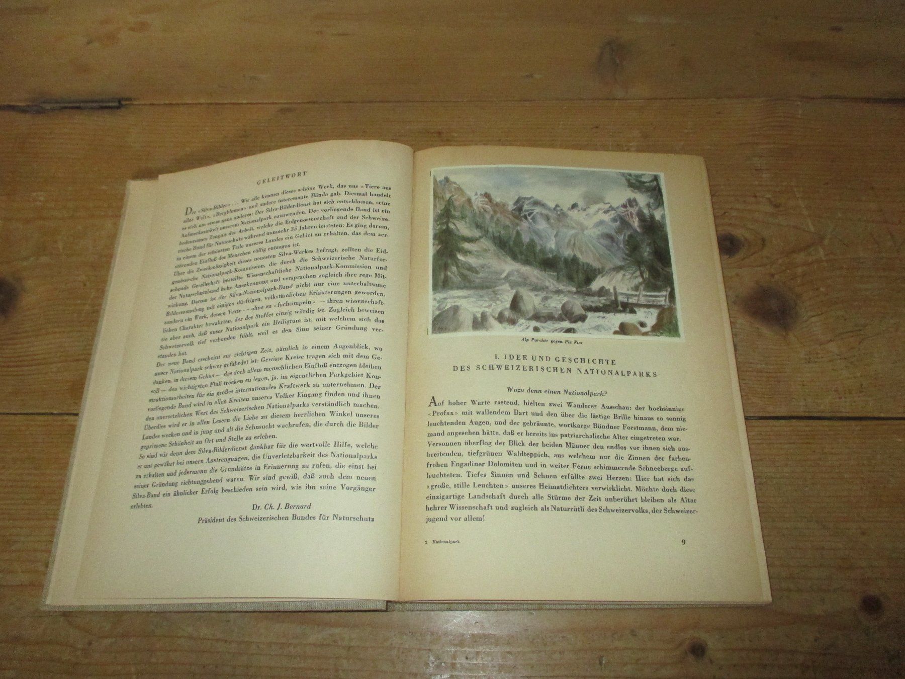Libri: Der Schweizerische Nationalpark 1949 – Usato da Flims - Dorf venduto da Stagediver 2