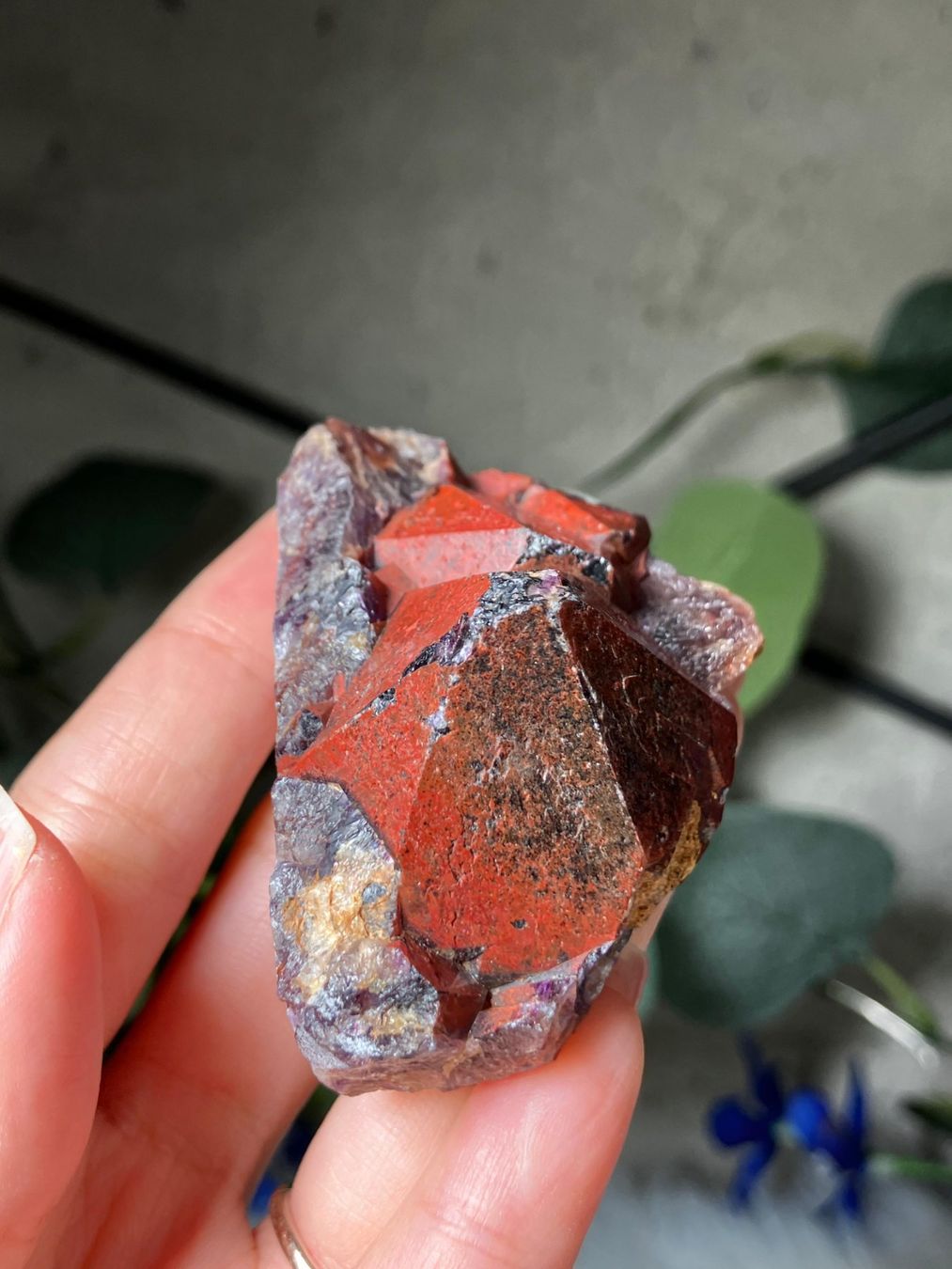 Pietre preziose: Thunder Bay Amethyst – Nuovo (secondo la descrizione) da Neuheim venduto da m.hald 2