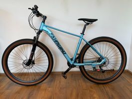 29 Zoll Mountainbike Aluminium SHIMANO ALIVIO BLAU NEU
