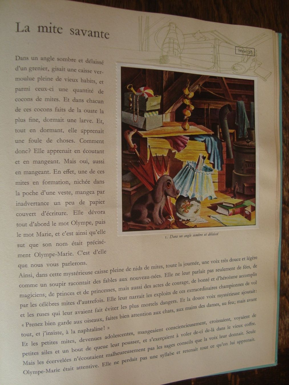 Album: 24 contes d'animaux. Volume 2 – Nuovo (secondo la descrizione) da Fribourg venduto da ruswil007 2