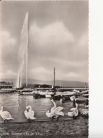 Genève 1948