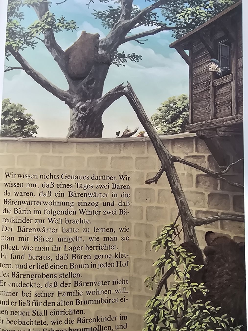 Bücher: Müller Steiner Der Mann vom Bärengraben – Gebraucht aus Hedingen von mickway 2