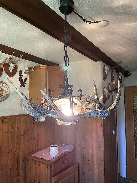 Lampes: Lampe mit Geweih – D'occasion à Winterthur par Gotzi2 1