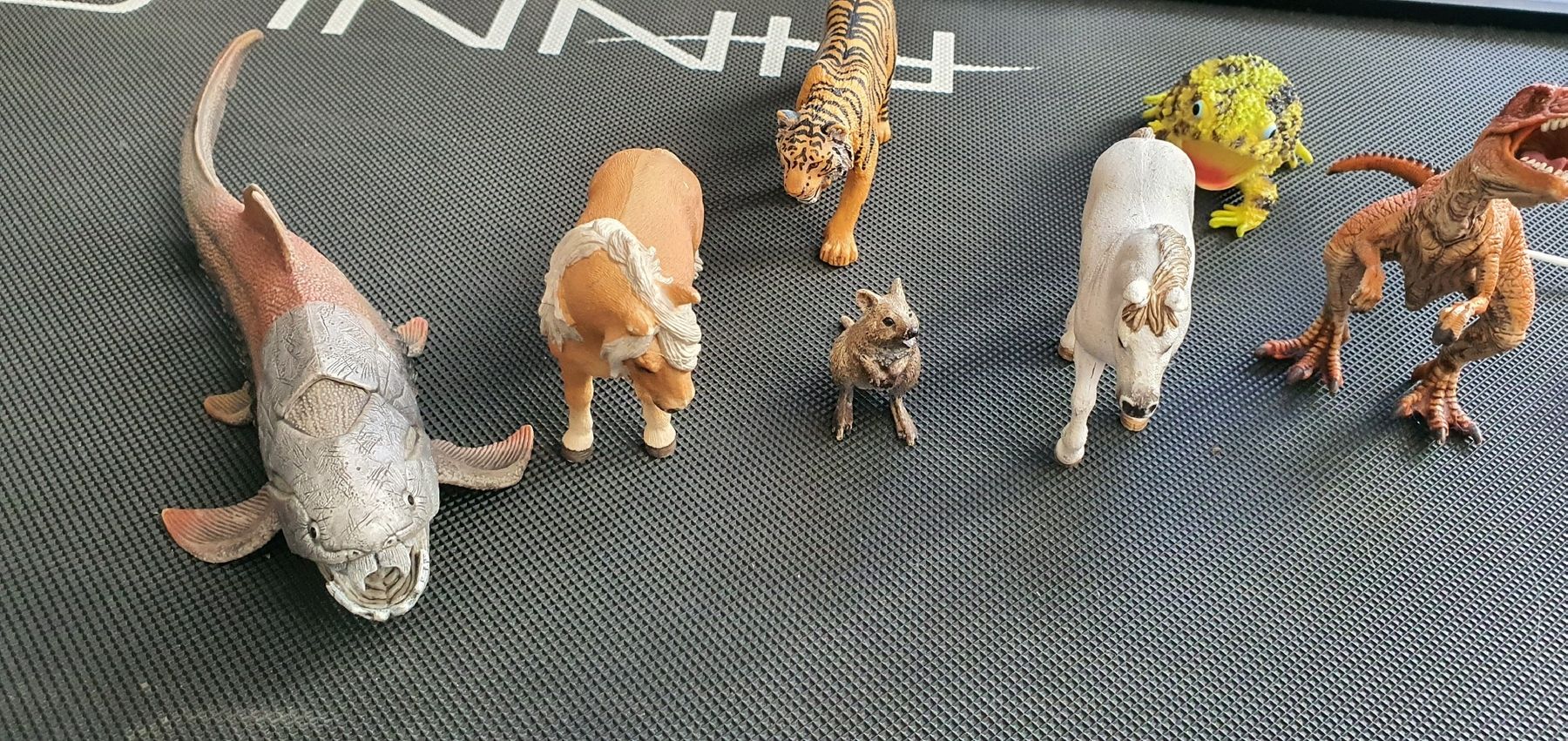 Schleich Figuren: Tierfiguren Konvolut schleich – Gebraucht aus Muri AG von Jeromia 1