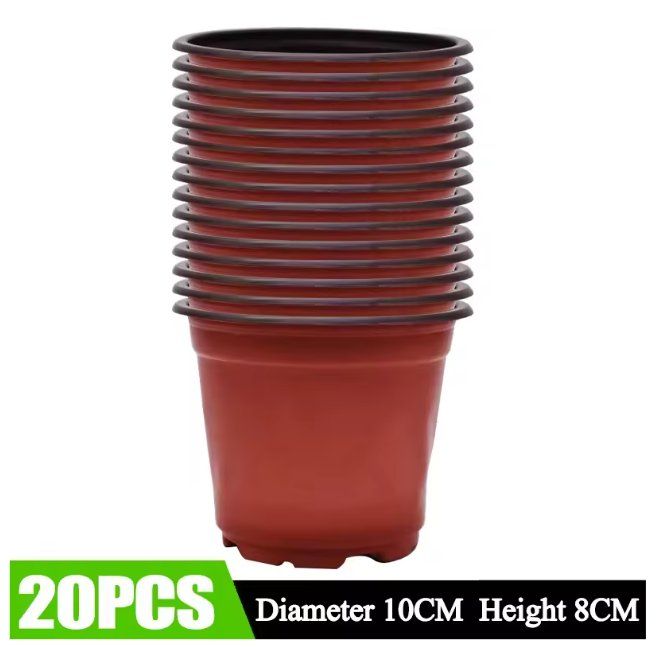 Vasi per fiori: 20x Anzuchttöpfe 10cm flach für Kräuter, Sukkulenten Kakteen – Nuovo e nell'imballaggio originale da Dintikon venduto da Prime-shop