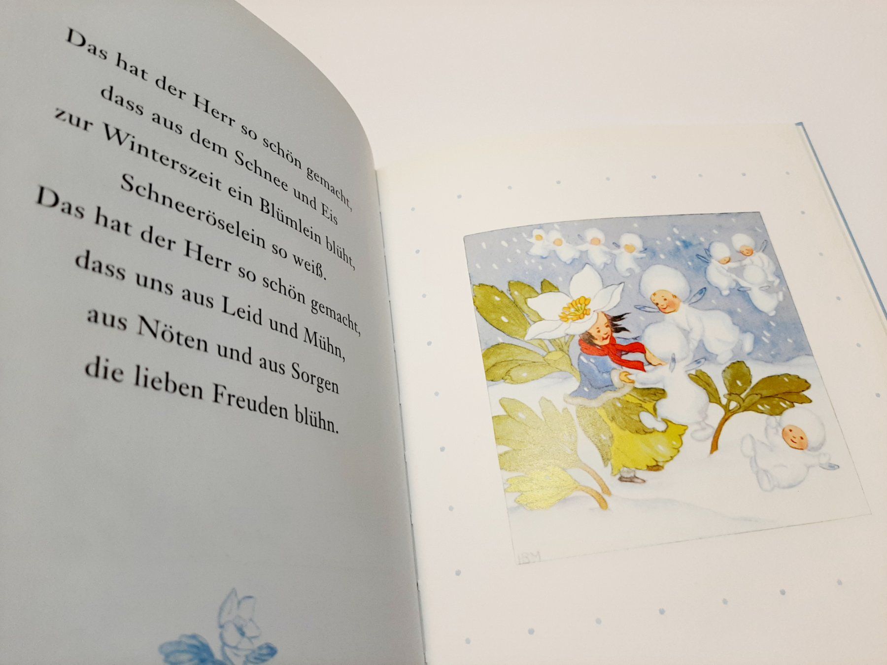 Libri: Schneeflöckchen Blümlein im Winter Ida Bohatta – Usato da Flaach venduto da maj_w_ 3