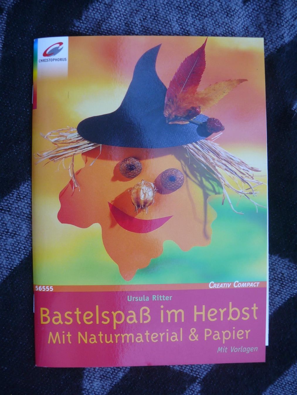 Bücher: * Bastelspaß im Herbst aus Tonkarton & Naturmaterial – Gebraucht aus Muttenz von Negnuja