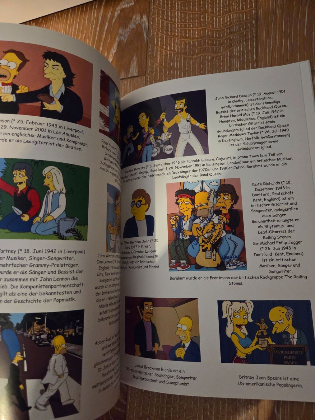 Libri: Die Simpsons, alle Figuren erklärt – Nuovo (secondo la descrizione) da Baar venduto da Liebherrbagger 2