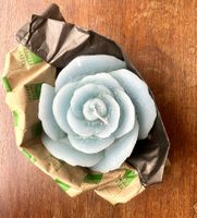 Neue, wunderschöne Rosenkerze, Durchm. 15 cm, als Geschenk!