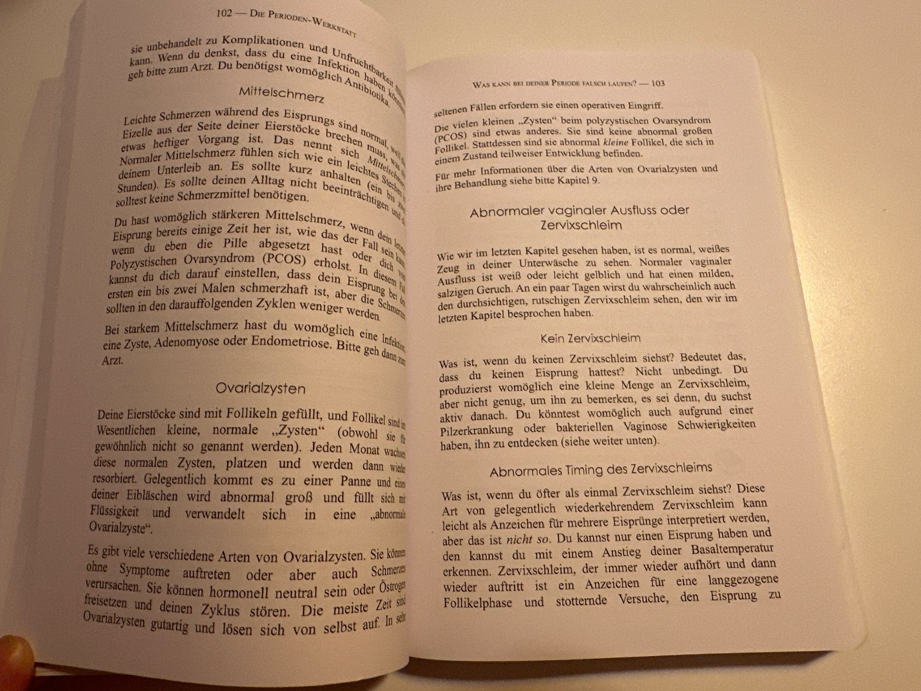 Libri: Die Perioden Werkstatt - Lara Briden – Usato da Schwarzenburg venduto da mezulienka 2