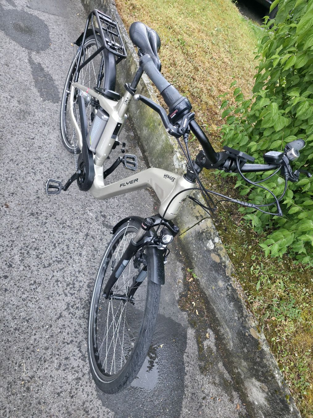 Flyer Biciclette: flyer gotour 5 batery defekt – Difettoso da Frick venduto da zij_86lw 4