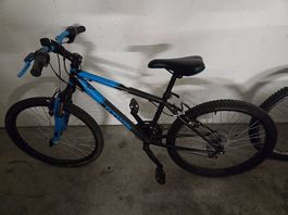 Velo 24"