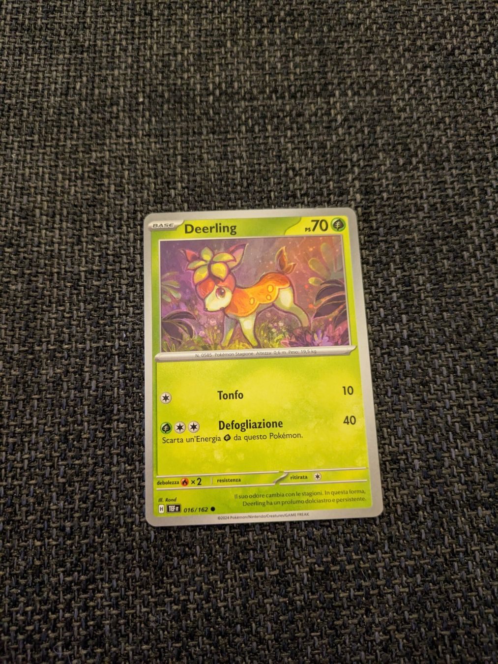 Pokémon Carte collezionabili: DEERLING, TEMPORAL FORCES, TEF16, COM, 2024, ITA, NM/MT – Usato da Losone venduto da AlpineLayer