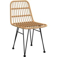 2x chaises en rotin (extérieur/intérieur)