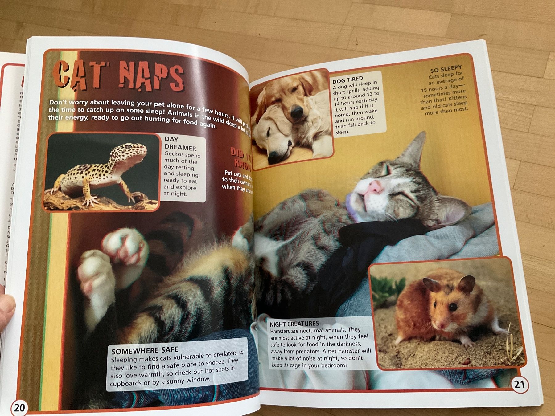 Bücher: English Books Animals – Gebraucht aus Winterthur von aionila 3