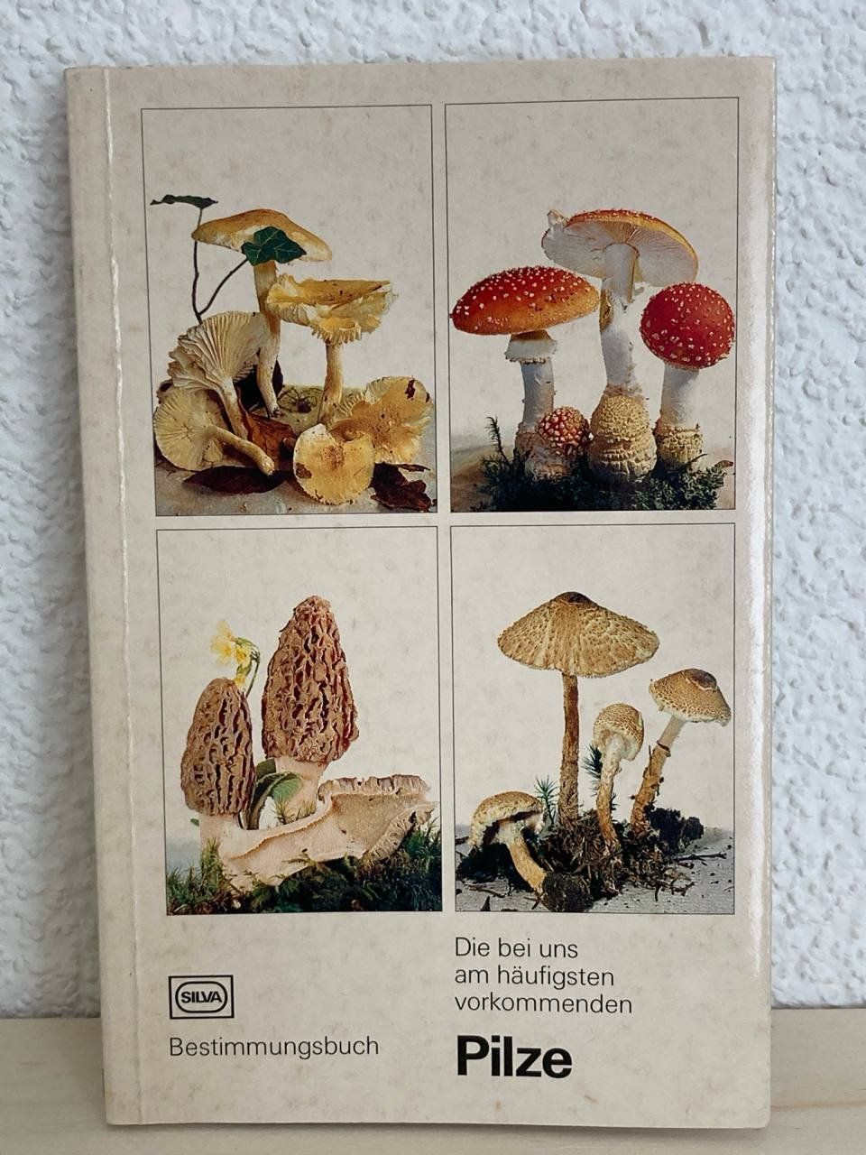 Livres: Pilze Bestimmungsbuch – D'occasion à Frauenfeld par Metaria369