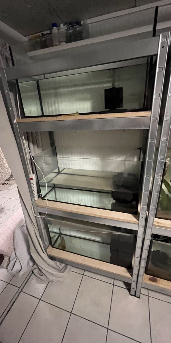 Aquarium: Aquarienregal Zuchtanlage (3 Becken + 3 Luftfilter) – Gebraucht aus Merenschwand von vin_p6jy