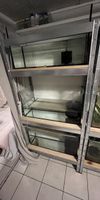 Aquarienregal Zuchtanlage (3 Becken + 3 Luftfilter)