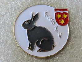 Ansteckpin 172: KGZV