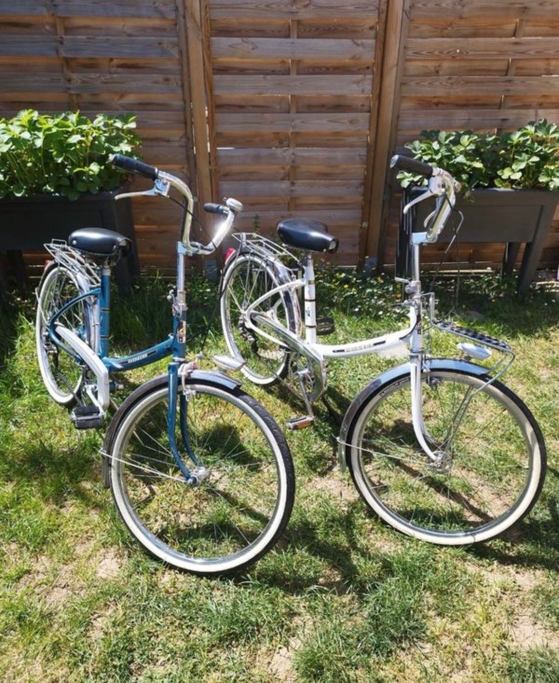 Peugeot Biciclette: Peugeot Vintage Bikes – Usato da Zürich venduto da ale_5vtf 1