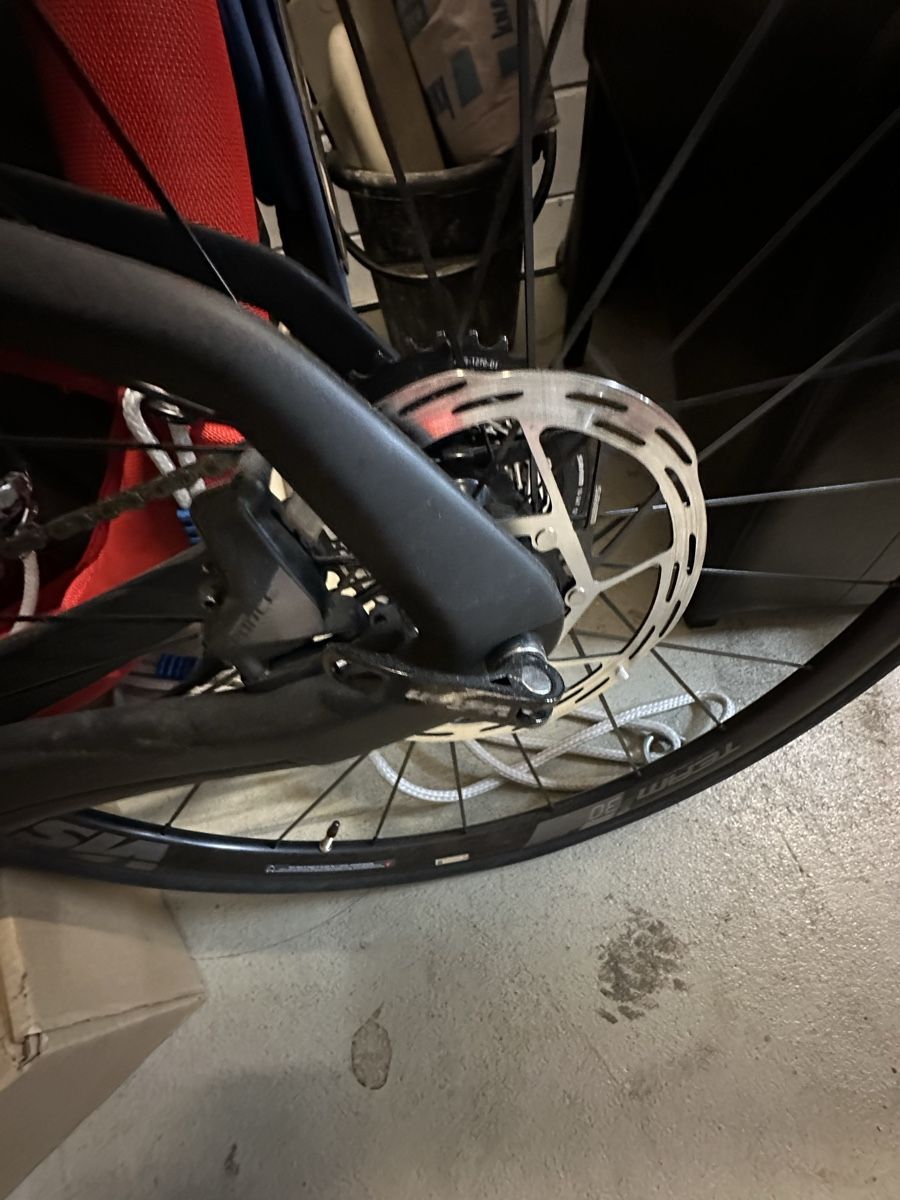 Biciclette: Fantic Moser Rennvelo – Nuovo (secondo la descrizione) da Thalheim AG venduto da niqi 2
