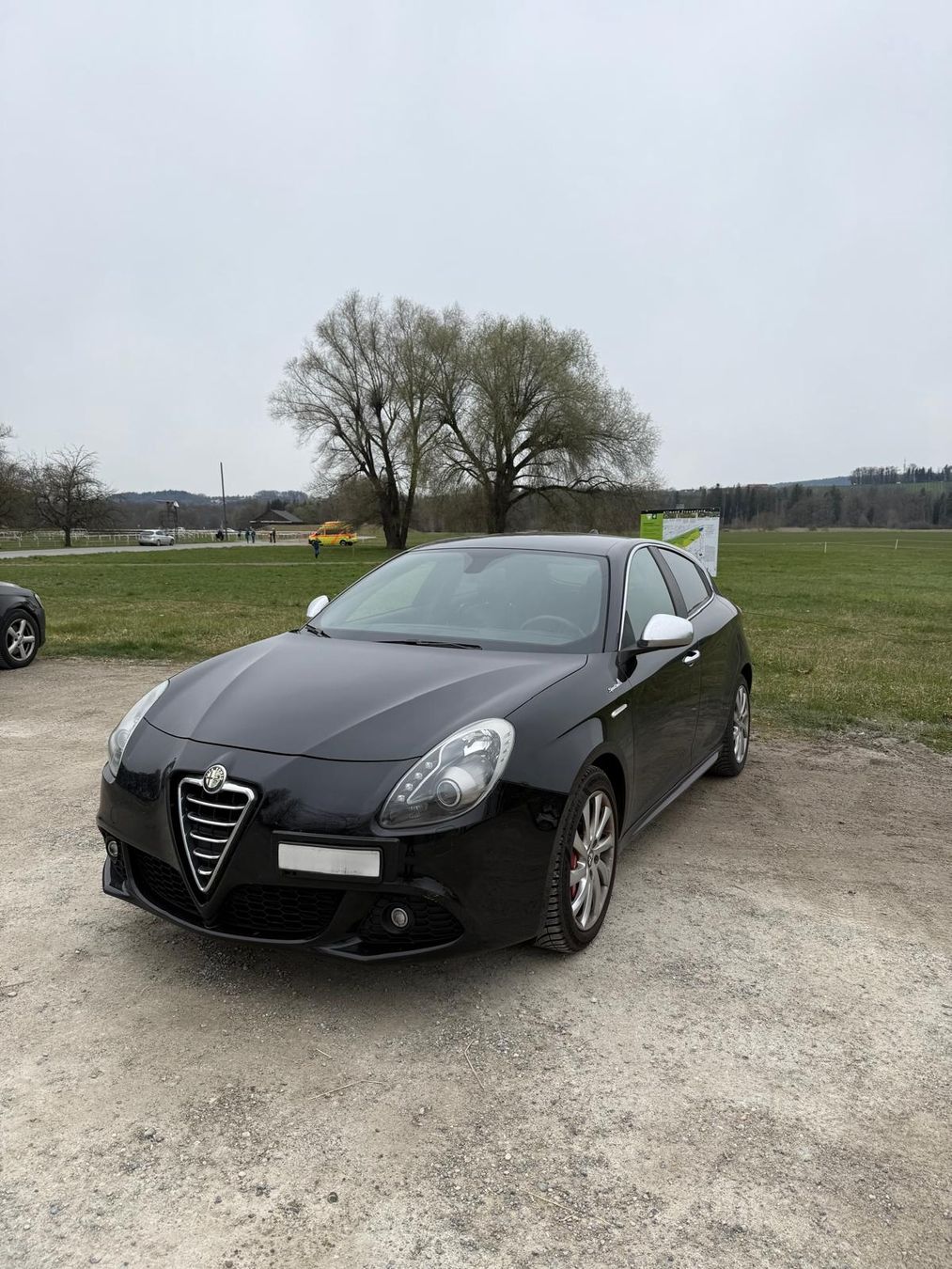 Alfa Romeo Automobili: Alfa Romeo Giulietta 1.4TB – Usato da Frauenfeld venduto da docassul
