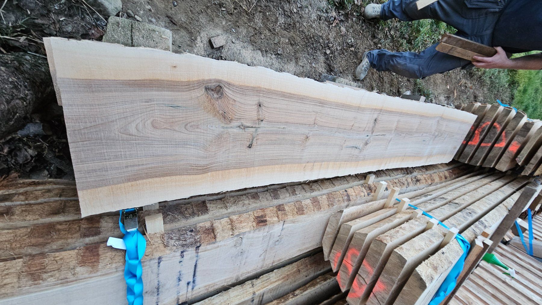 Articoli in legno: eschen brett – Usato da Niedermuhlern venduto da Bkdesign 2