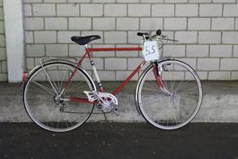 Velo 55