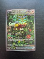 Pokemon Karte