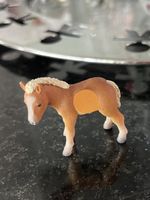 Fohlen Ravensburger, Neu