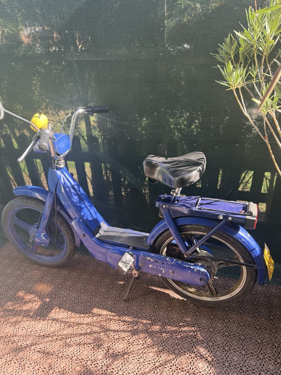 Piaggio Mofas: Piaggio Ciao – Gebraucht aus Uster von Dervisevic_Su 1