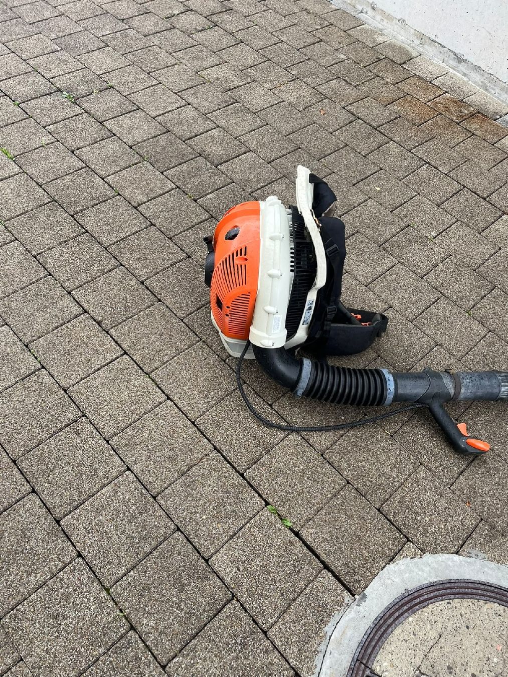 Stihl Soffiatori & Aspiratori per foglie: STIHL BR 600 - Laubgebläse – Usato da Büetigen venduto da nyli67
