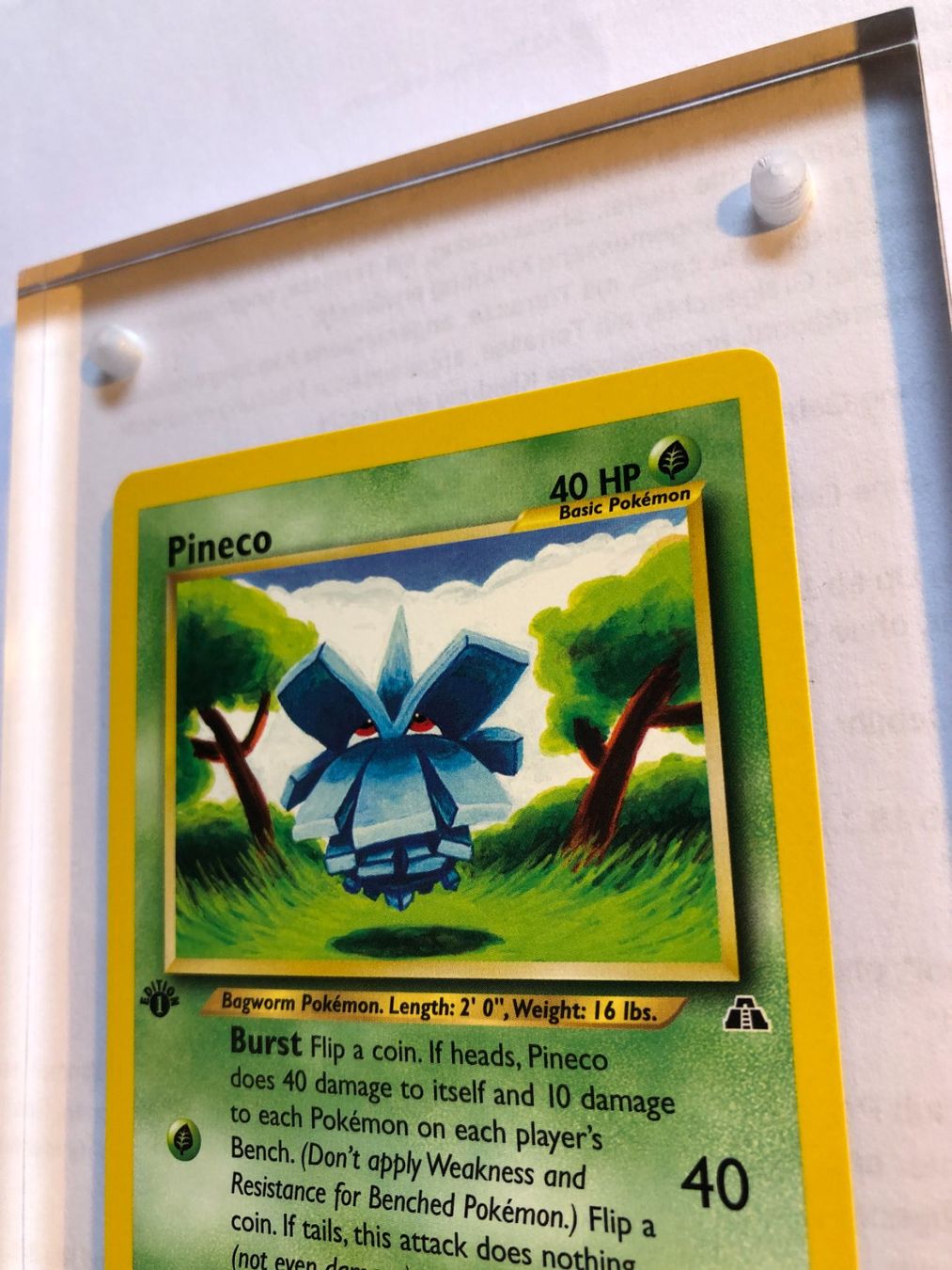 Sammelbilder & Trading cards: Pineco 1st Neo Discovery - MINT - ab 1.- – Gebraucht aus Giubiasco von dan_pr8b 3
