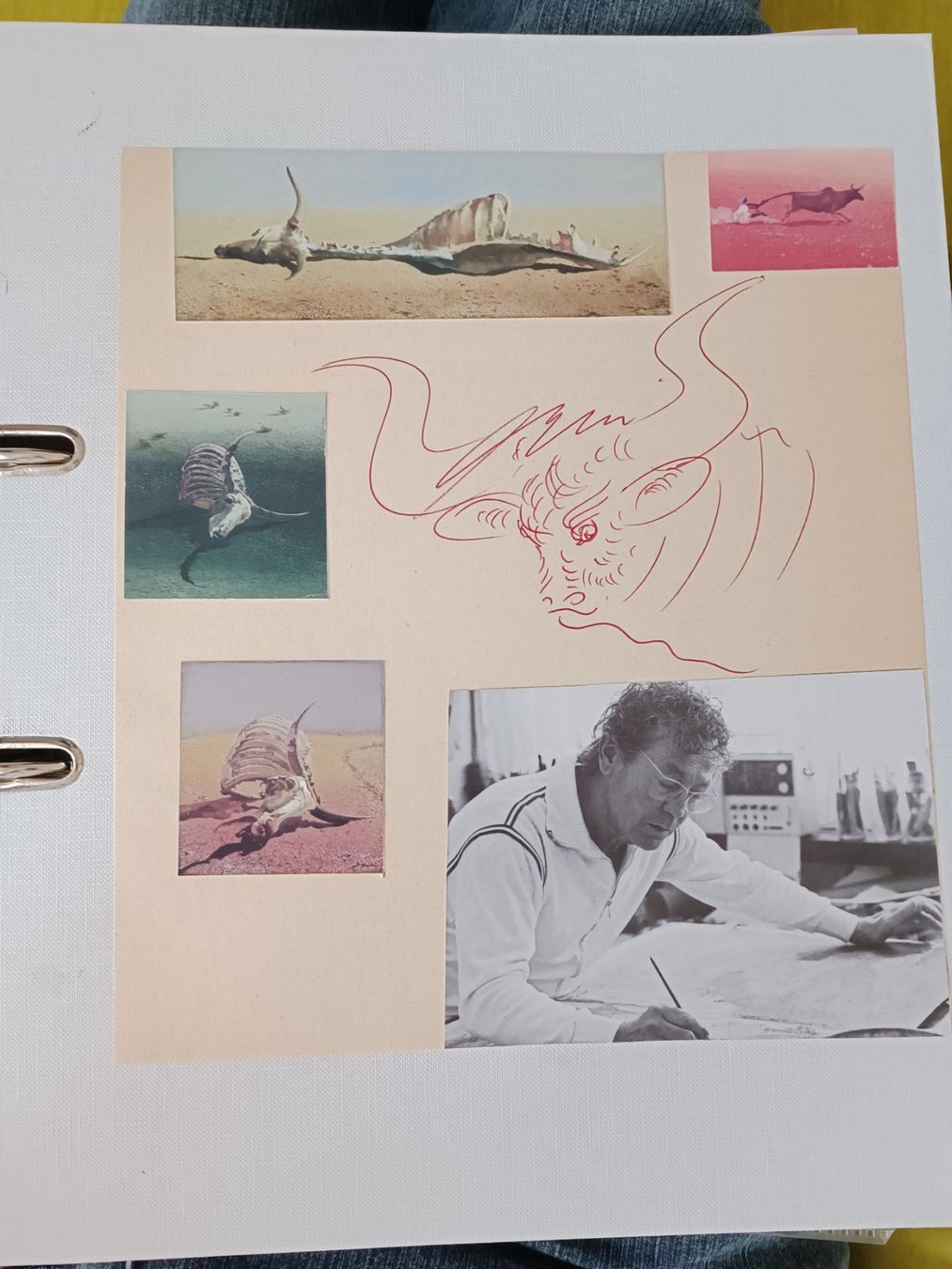 Autografi: Hans Erni - original Zeichnung und Autogramm – Usato da Menziken venduto da Autogramme