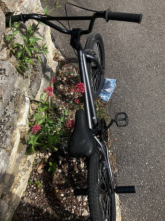 Biciclette: BMX Wipe 20 Zoll – Usato da Baden venduto da okne 1