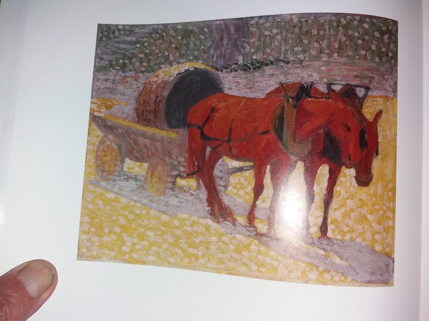 Bücher: KUNSTKLASSIKER Giovanni Giacometti mit extras – Gebraucht aus Welschenrohr von Regool 5