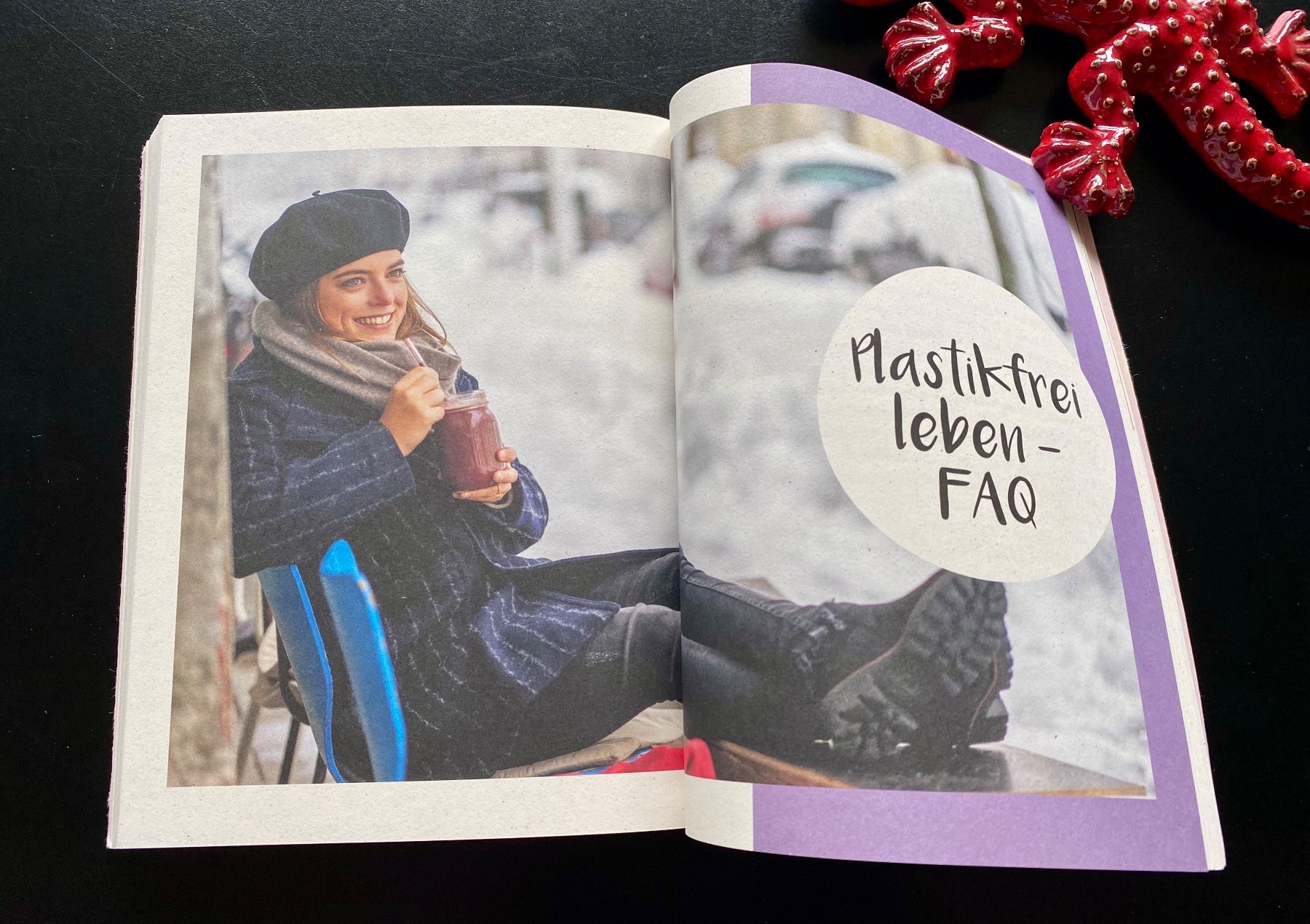 Libri: EINFACH PLASTIKFREI LEBEN – Usato da Nussbaumen AG venduto da schuba2000 6