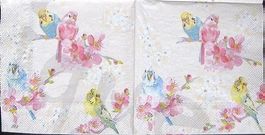 Serviette wellensittiche (t286) 2Stk.