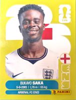 Carte FIFA World Cup 2026 ENG 17