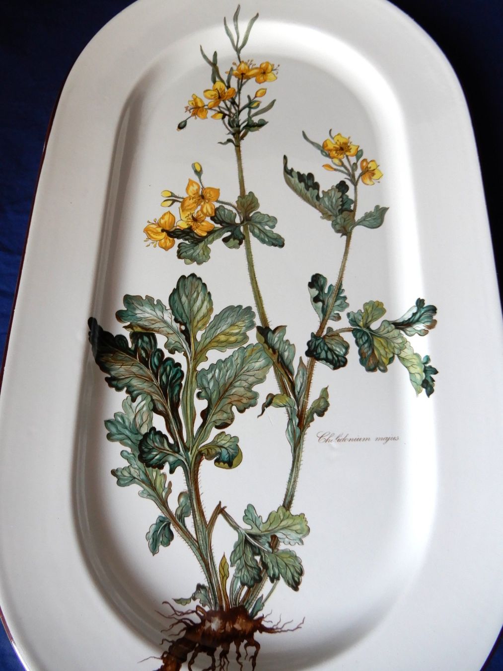 Villeroy & Boch Piatti di portata: Villeroy & Boch Botanica, Fleischplatte 45 cm - – Usato da Senèdes venduto da tintinette43 2