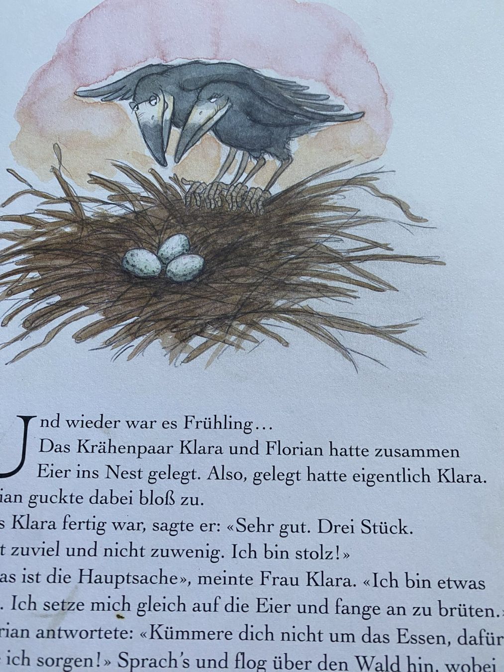 Bücher: Ach- Tiberius – Neu (gemäss Beschreibung) aus Sachseln von basti1950 2